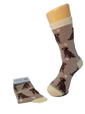 Cool Socks German Shorthaired Pointer