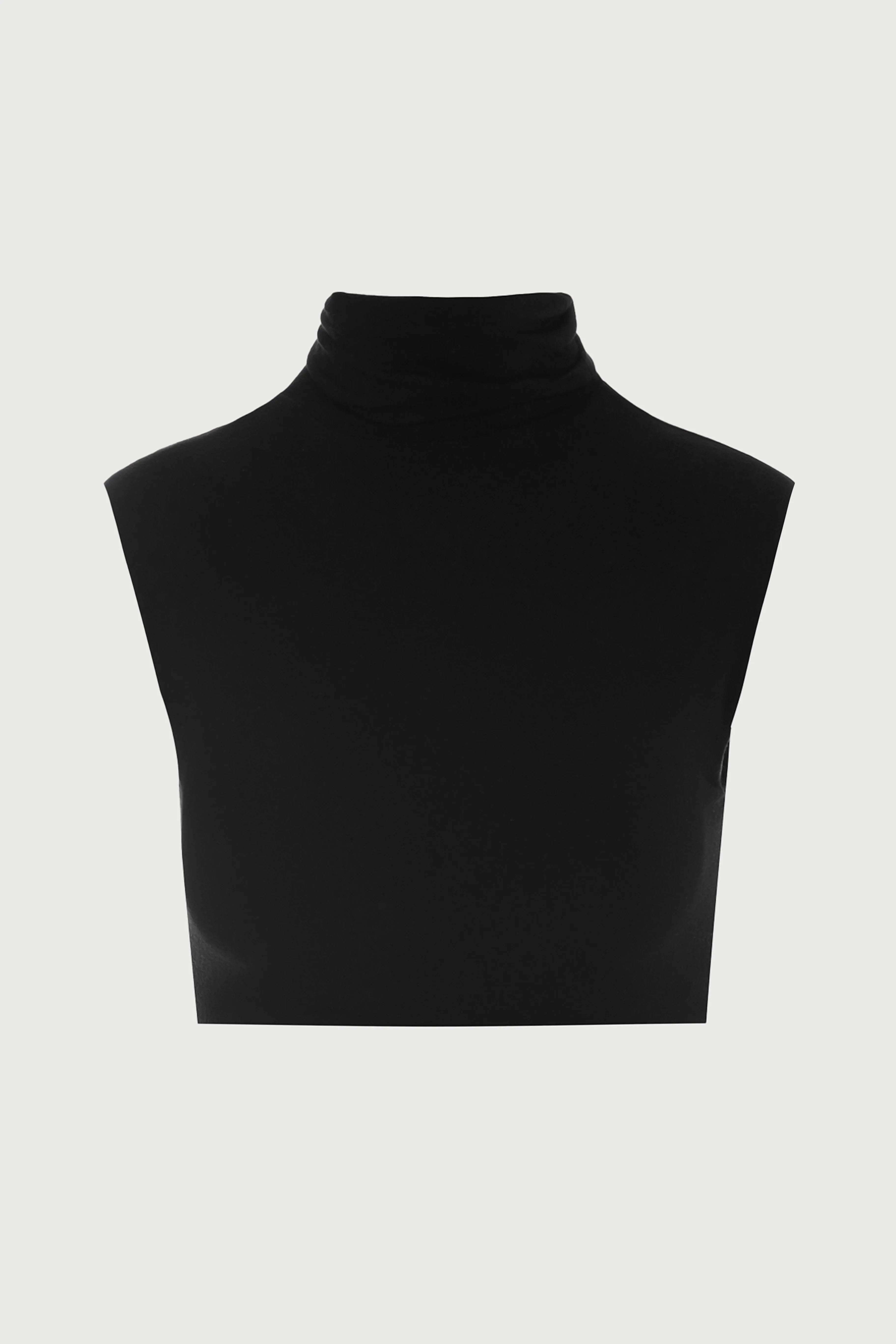 NW Turtleneck Sleeveless Crop Top